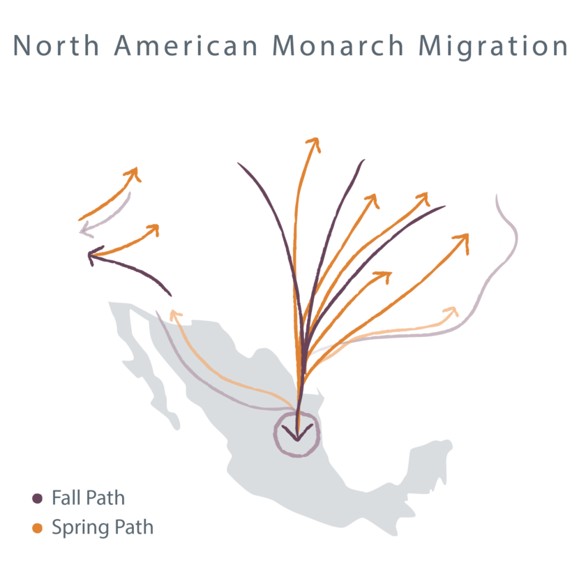 Home - Farmers for Monarchs