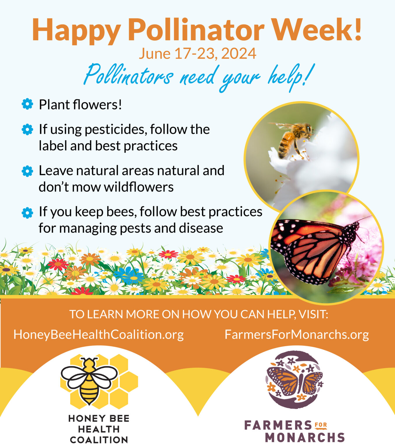 From Bees to Monarchs: Celebrating Pollinator Week and Vision 2040 ...